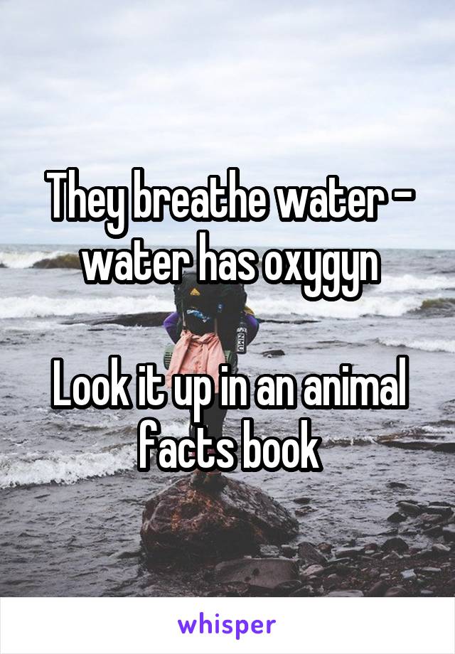 They breathe water - water has oxygyn

Look it up in an animal facts book