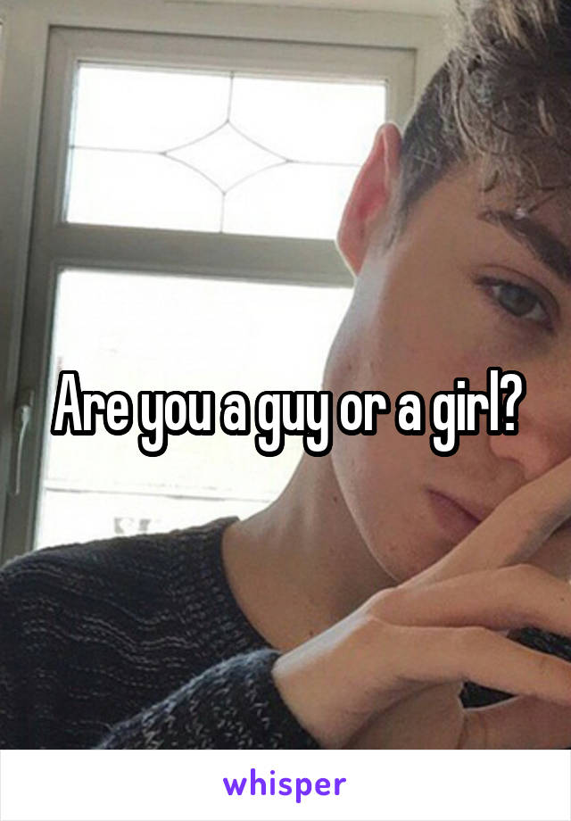 Are you a guy or a girl?