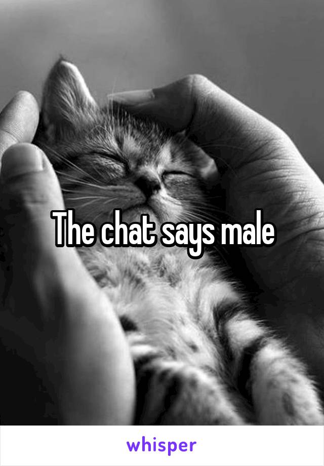 The chat says male