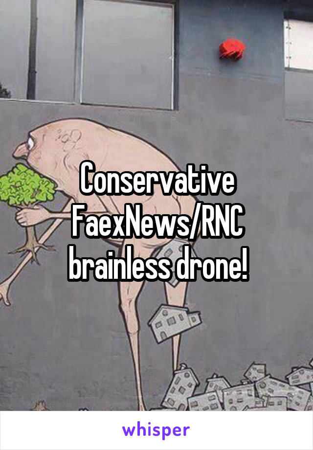 Conservative FaexNews/RNC brainless drone!