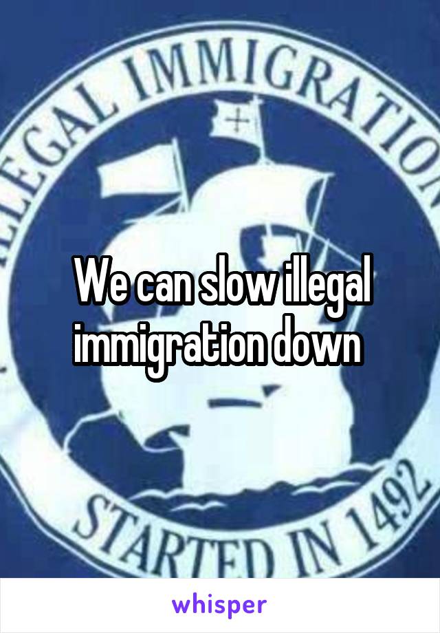 We can slow illegal immigration down 