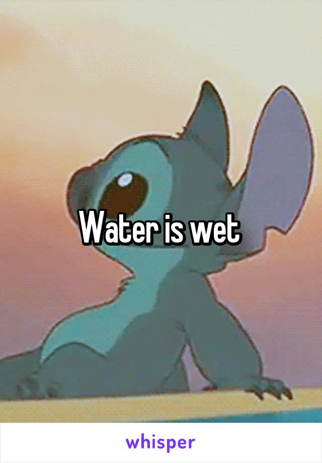 Water is wet 