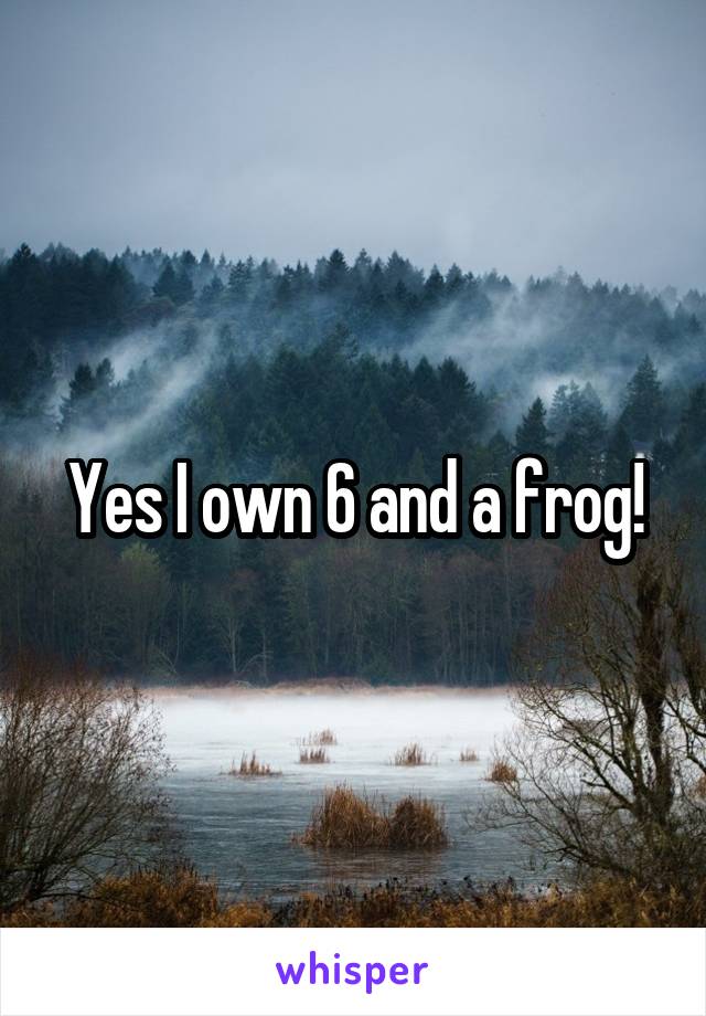 Yes I own 6 and a frog!