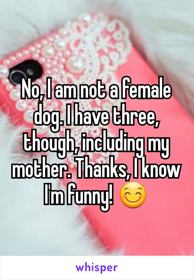 No, I am not a female dog. I have three, though, including my mother. Thanks, I know I'm funny! 😊