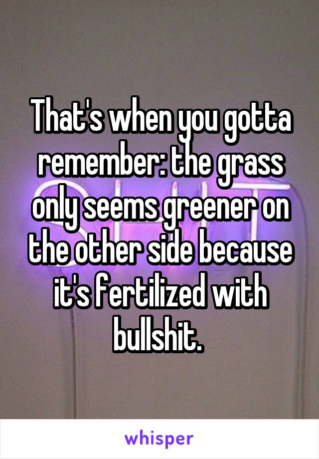 That's when you gotta remember: the grass only seems greener on the other side because it's fertilized with bullshit. 