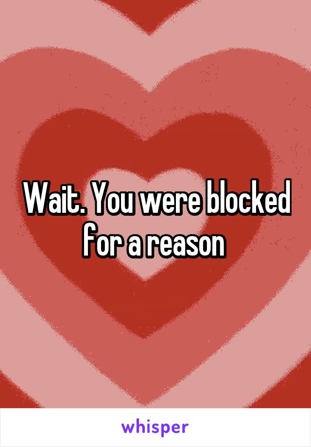 Wait. You were blocked for a reason 