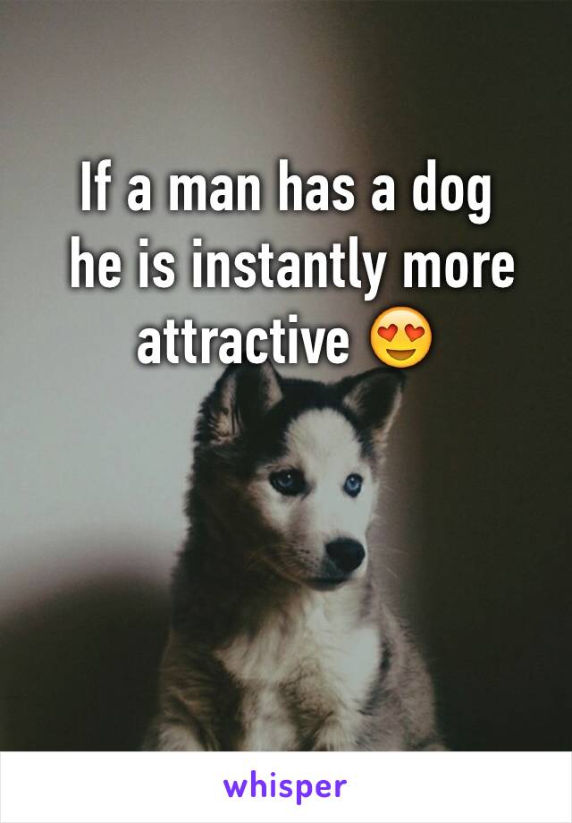 If a man has a dog
 he is instantly more attractive 😍