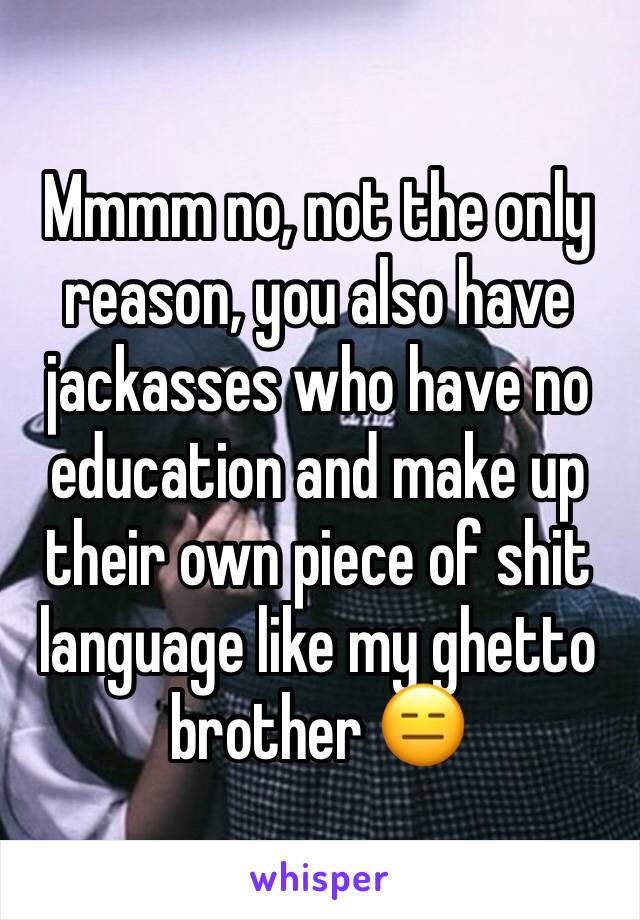 Mmmm no, not the only reason, you also have jackasses who have no education and make up their own piece of shit language like my ghetto brother 😑