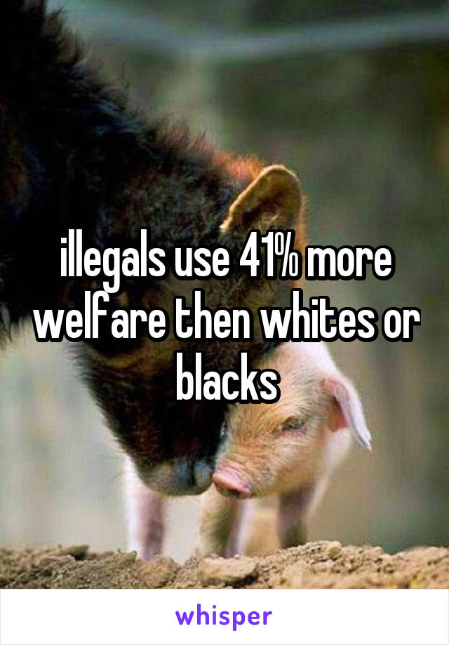 illegals use 41% more welfare then whites or blacks