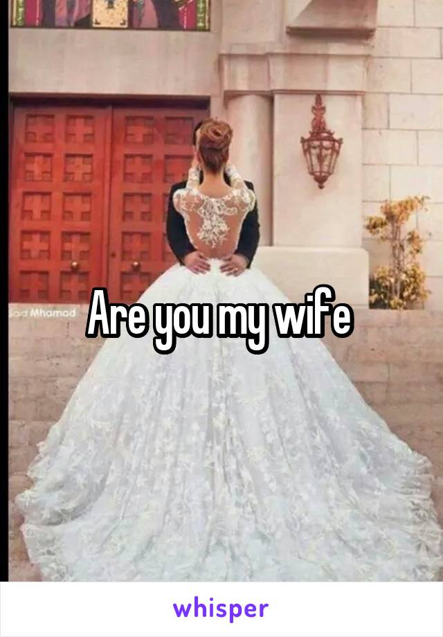 Are you my wife 