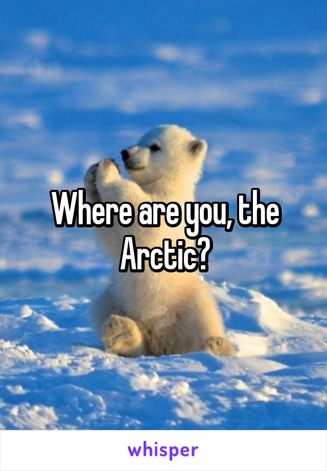 Where are you, the Arctic?