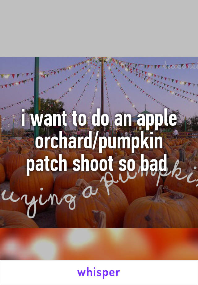 i want to do an apple orchard/pumpkin patch shoot so bad 