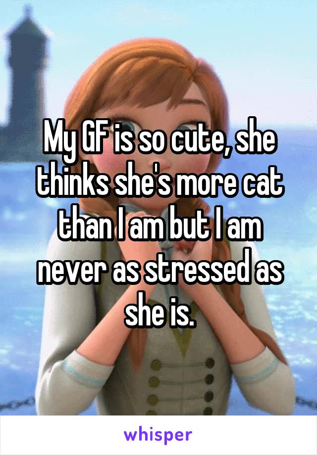 My GF is so cute, she thinks she's more cat than I am but I am never as stressed as she is.