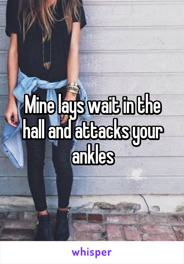 Mine lays wait in the hall and attacks your ankles