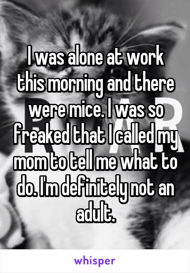I was alone at work this morning and there were mice. I was so freaked that I called my mom to tell me what to do. I'm definitely not an adult.