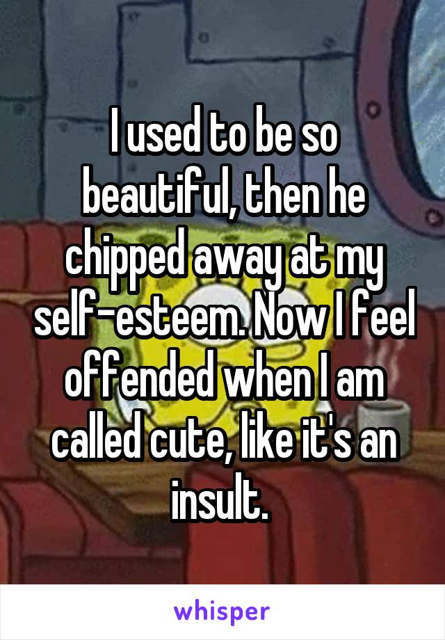 I used to be so beautiful, then he chipped away at my self-esteem. Now I feel offended when I am called cute, like it's an insult. 