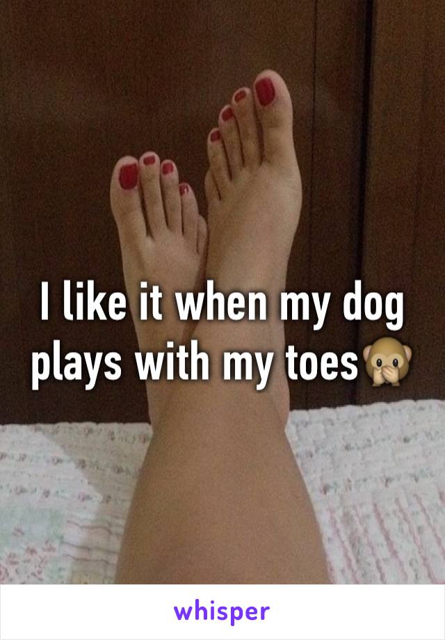 I like it when my dog plays with my toes🙊