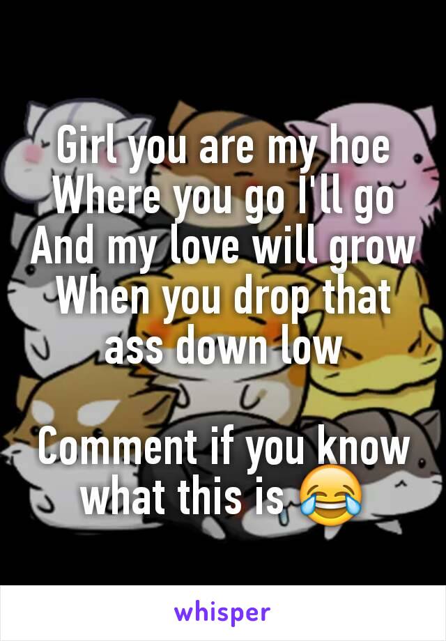Girl you are my hoe
Where you go I'll go
And my love will grow
When you drop that ass down low

Comment if you know what this is 😂
