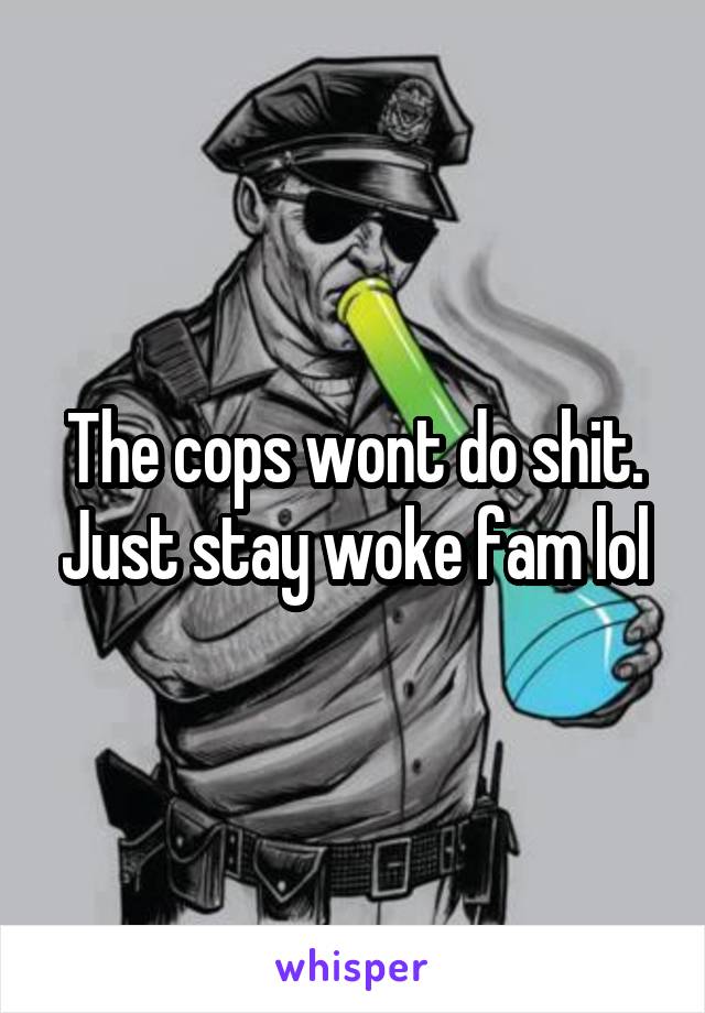The cops wont do shit. Just stay woke fam lol