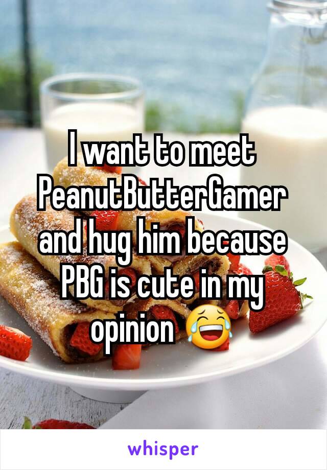 I want to meet PeanutButterGamer and hug him because PBG is cute in my opinion 😂