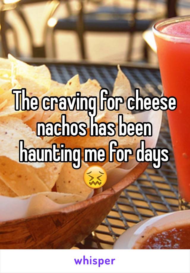 The craving for cheese nachos has been haunting me for days 😖