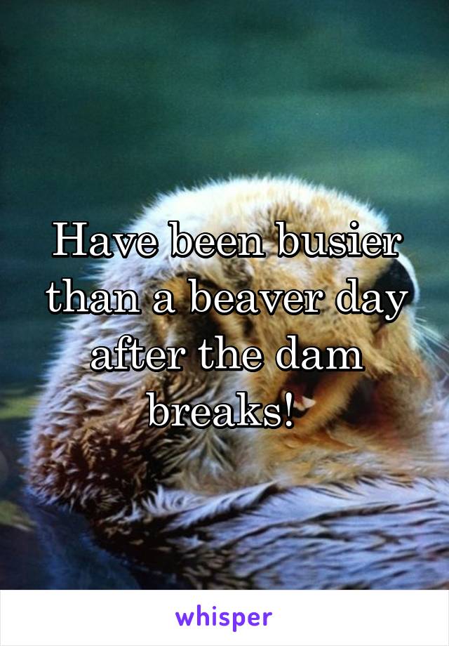 Have been busier than a beaver day after the dam breaks! 