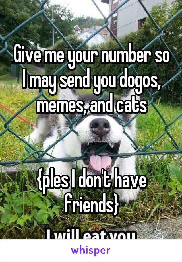 Give me your number so I may send you dogos, memes, and cats


{ples I don't have friends}