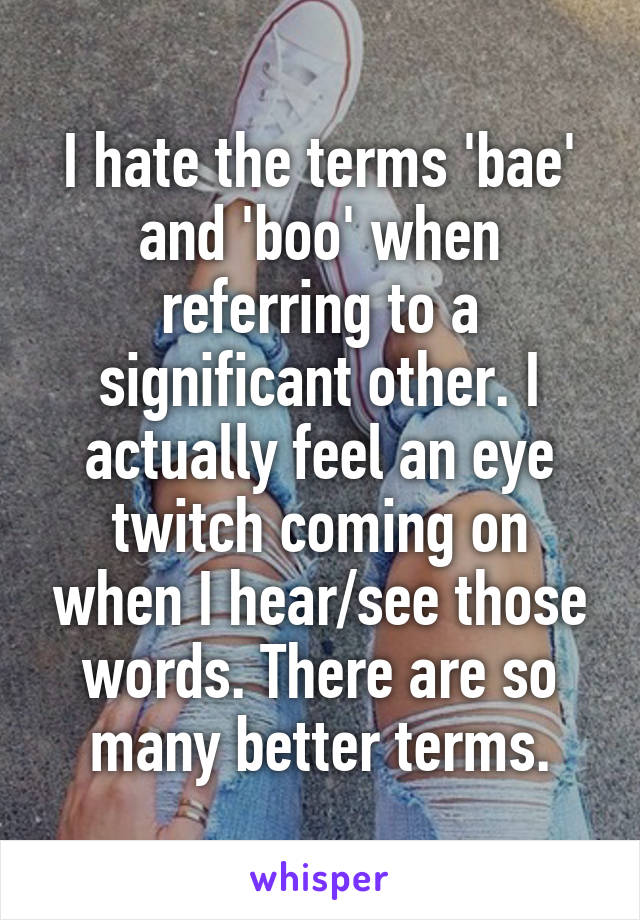 I hate the terms 'bae' and 'boo' when referring to a significant other. I actually feel an eye twitch coming on when I hear/see those words. There are so many better terms.