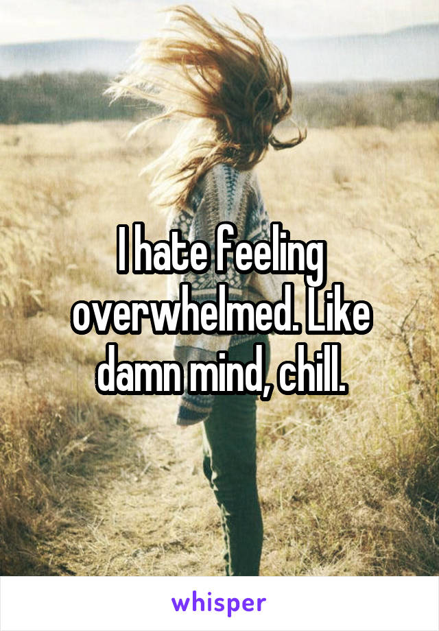 I hate feeling overwhelmed. Like damn mind, chill.