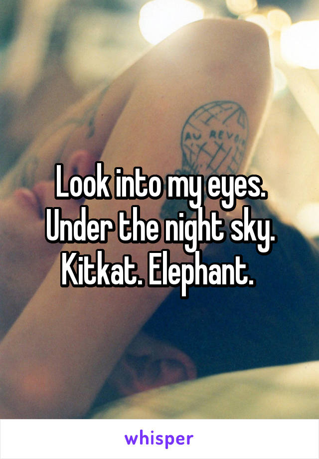 Look into my eyes. Under the night sky. Kitkat. Elephant. 