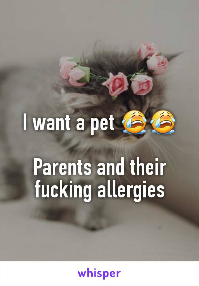I want a pet 😭😭

Parents and their fucking allergies