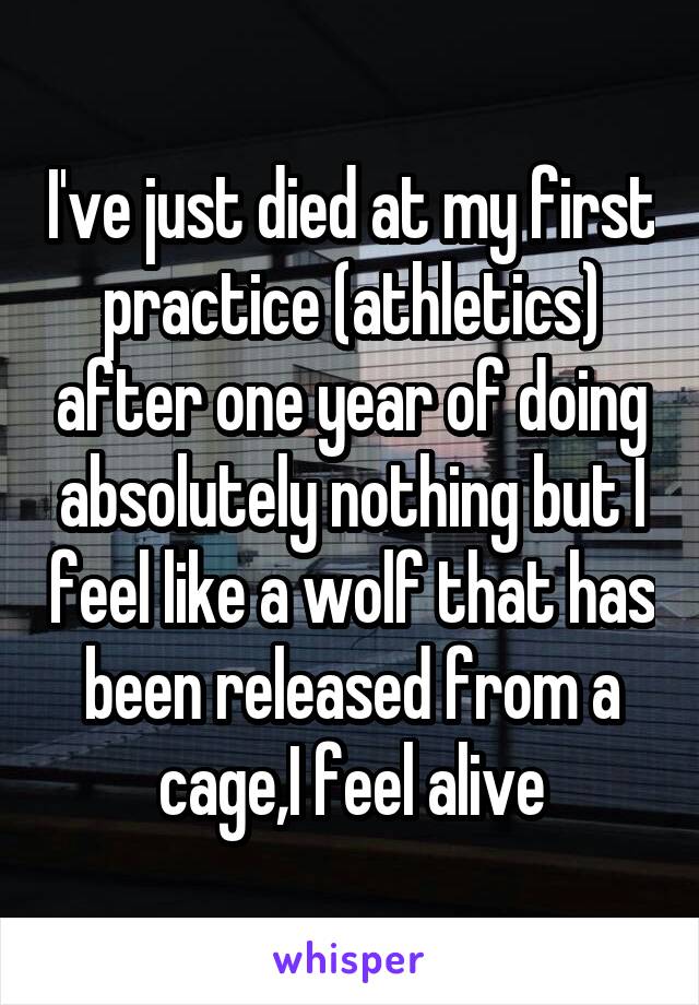 I've just died at my first practice (athletics) after one year of doing absolutely nothing but I feel like a wolf that has been released from a cage,I feel alive