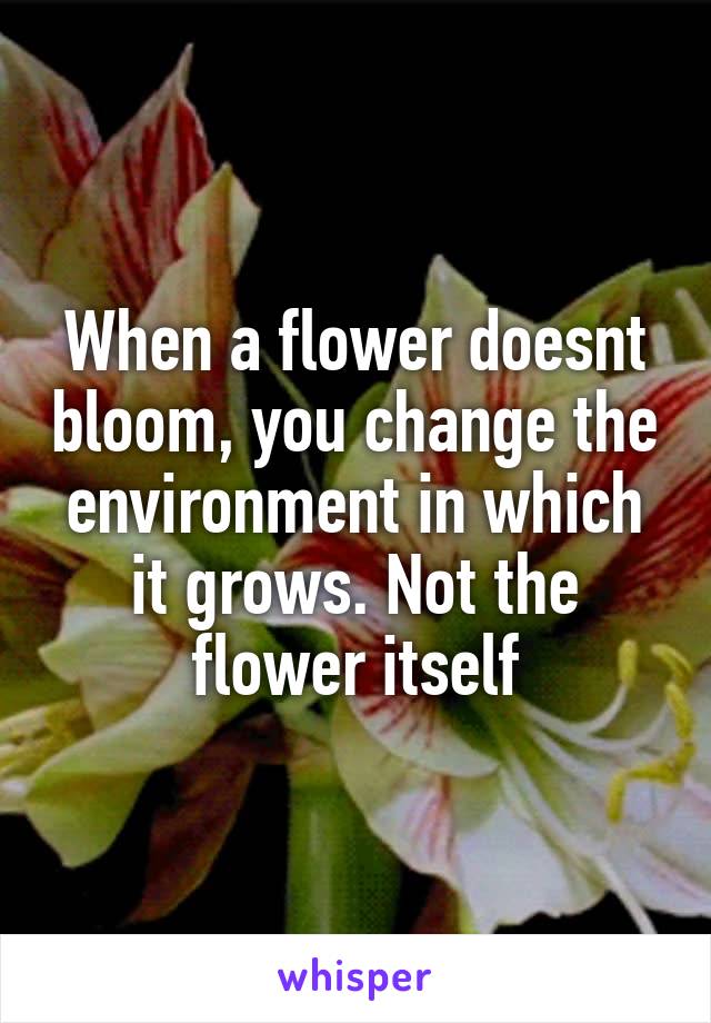 When a flower doesnt bloom, you change the environment in which it grows. Not the flower itself