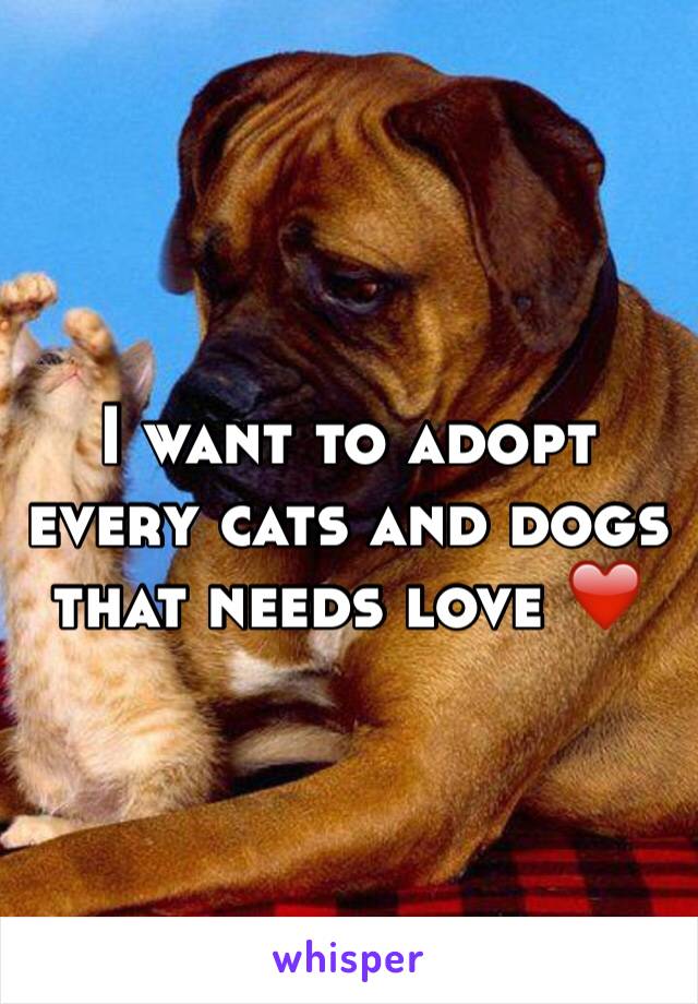I want to adopt every cats and dogs that needs love ❤️ 