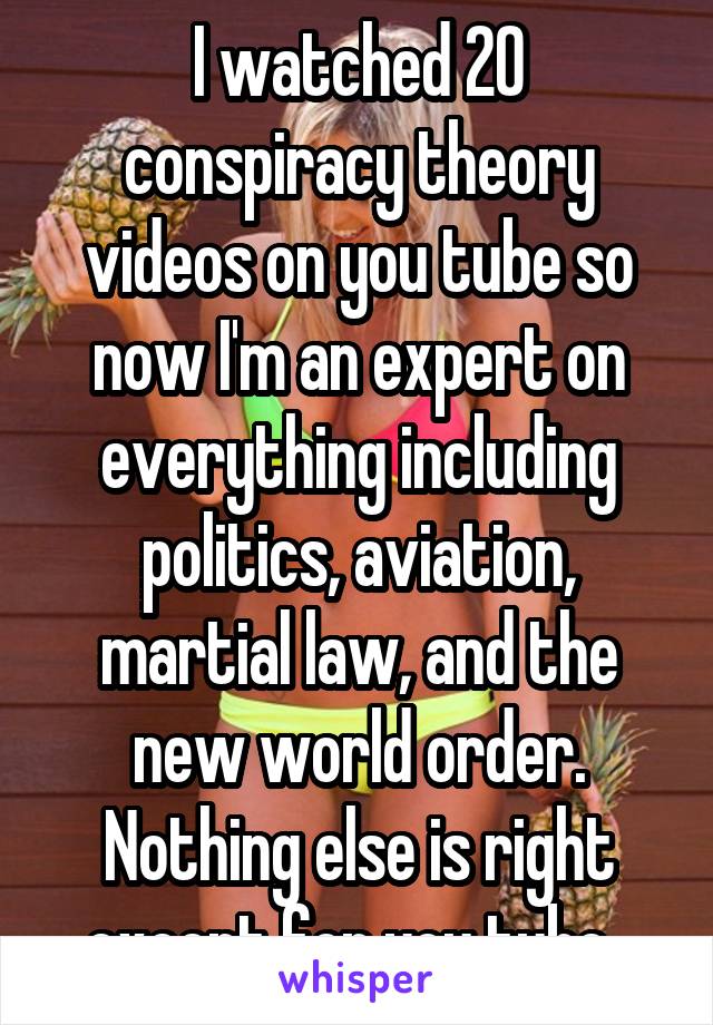 I watched 20 conspiracy theory videos on you tube so now I'm an expert on everything including politics, aviation, martial law, and the new world order. Nothing else is right except for you tube. 