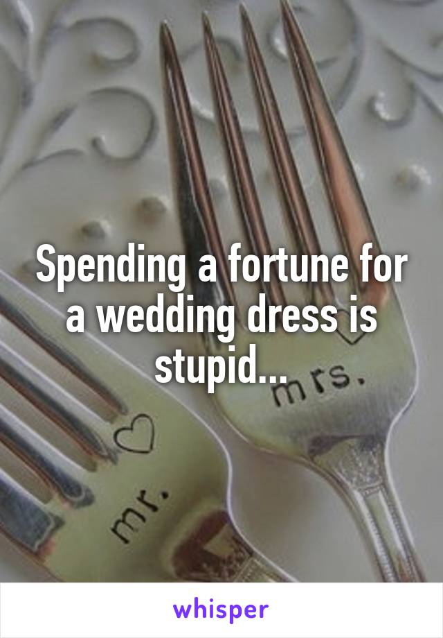 Spending a fortune for a wedding dress is stupid...