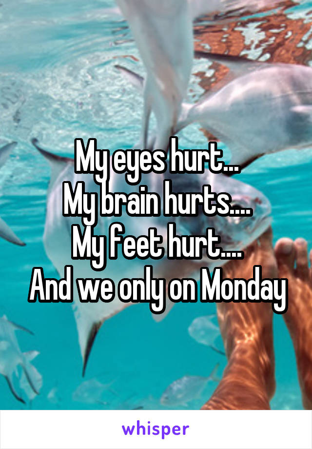 My eyes hurt...
My brain hurts....
My feet hurt....
And we only on Monday