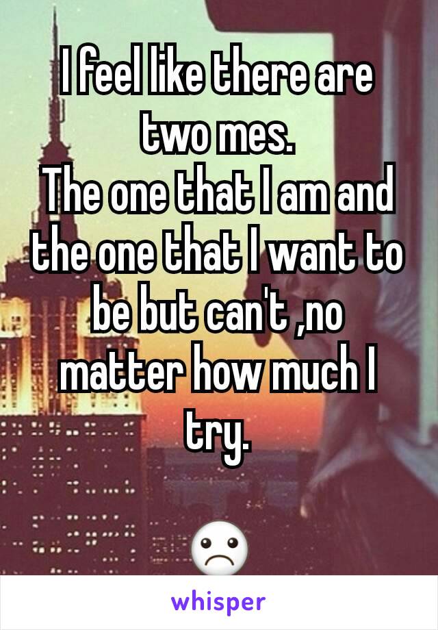 I feel like there are two mes.
The one that I am and the one that I want to be but can't ,no matter how much I try.

☹