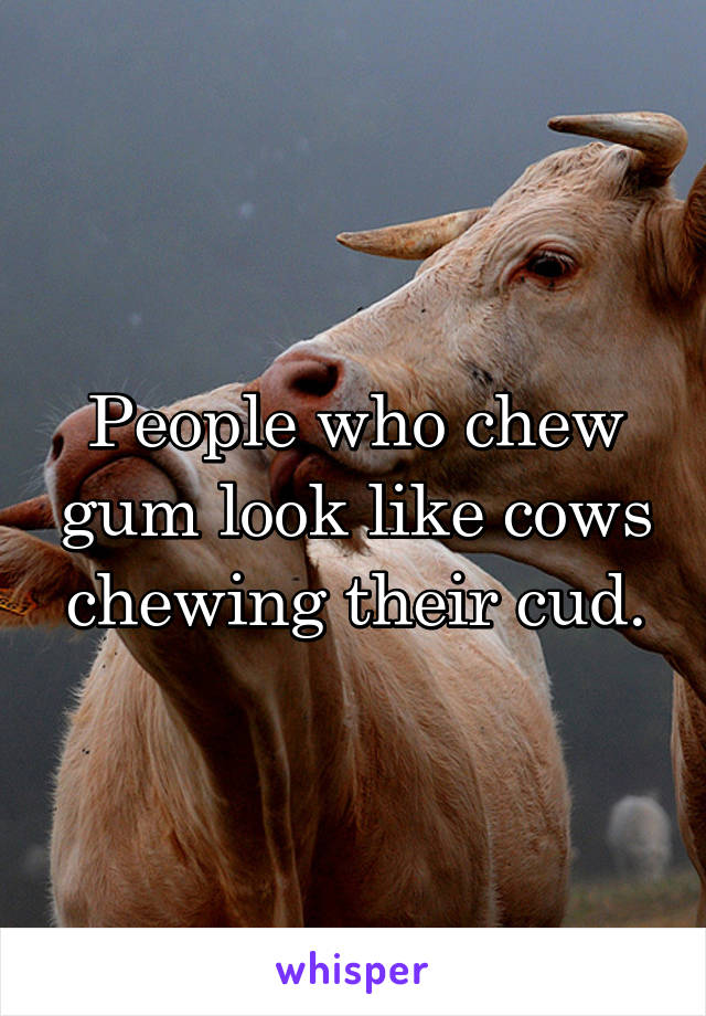 People who chew gum look like cows chewing their cud.