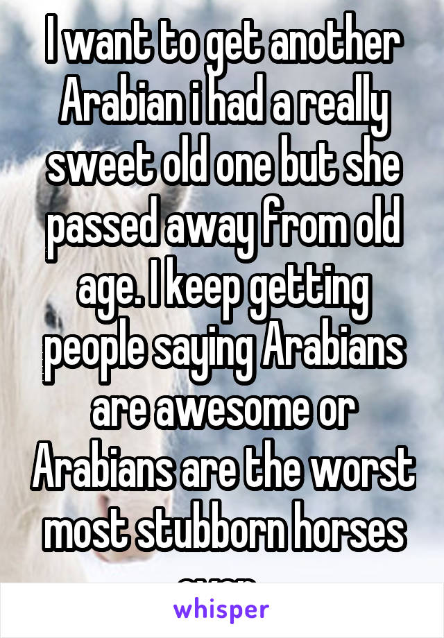 I want to get another Arabian i had a really sweet old one but she passed away from old age. I keep getting people saying Arabians are awesome or Arabians are the worst most stubborn horses ever. 