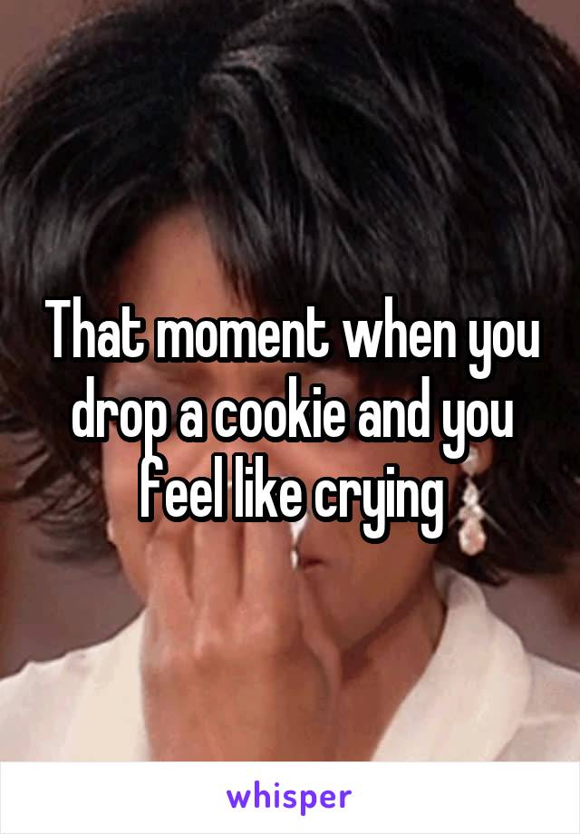 That moment when you drop a cookie and you feel like crying
