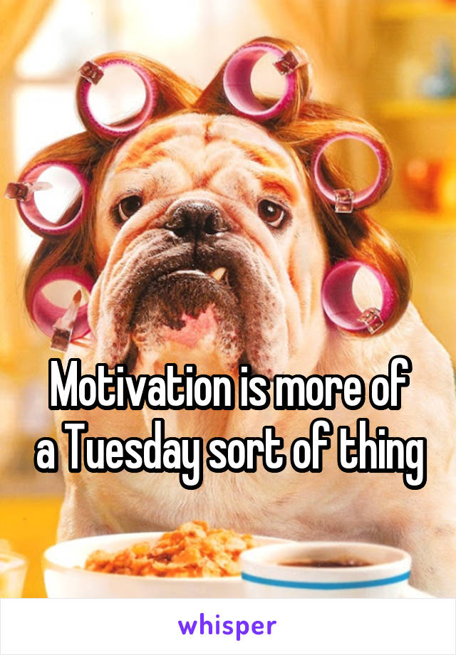 


Motivation is more of a Tuesday sort of thing