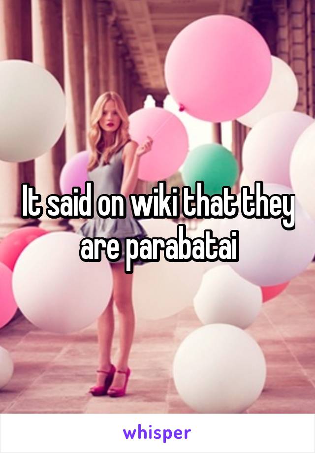 It said on wiki that they are parabatai