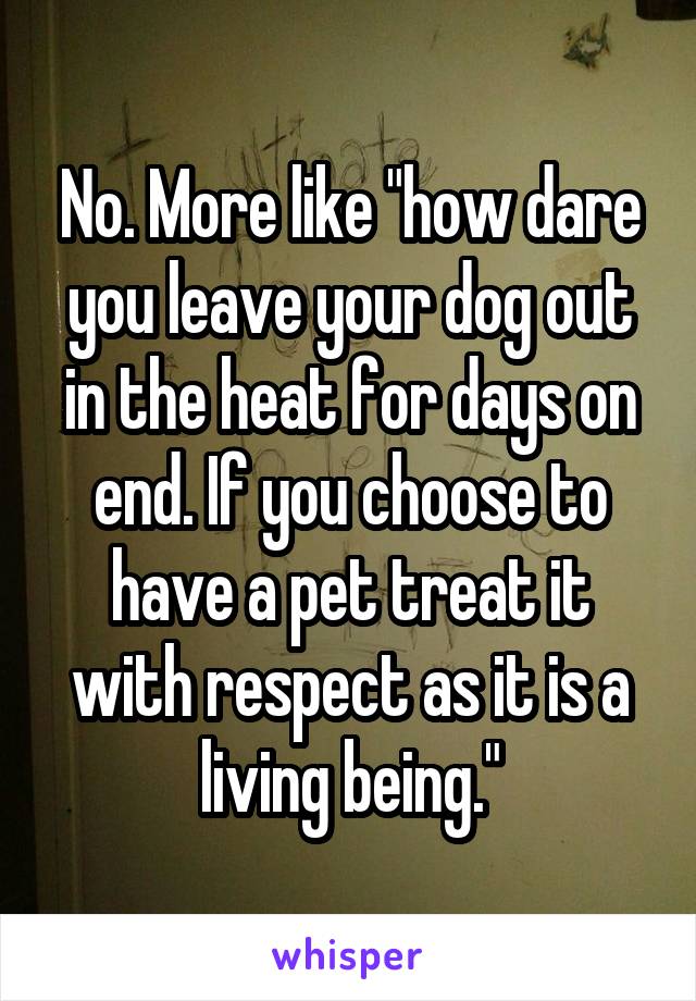 No. More like "how dare you leave your dog out in the heat for days on end. If you choose to have a pet treat it with respect as it is a living being."