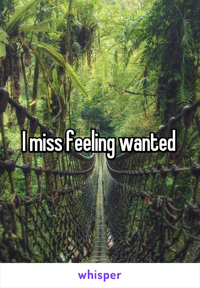 I miss feeling wanted 