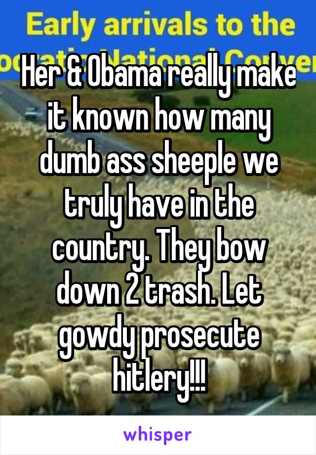 Her & Obama really make it known how many dumb ass sheeple we truly have in the country. They bow down 2 trash. Let gowdy prosecute hitlery!!!