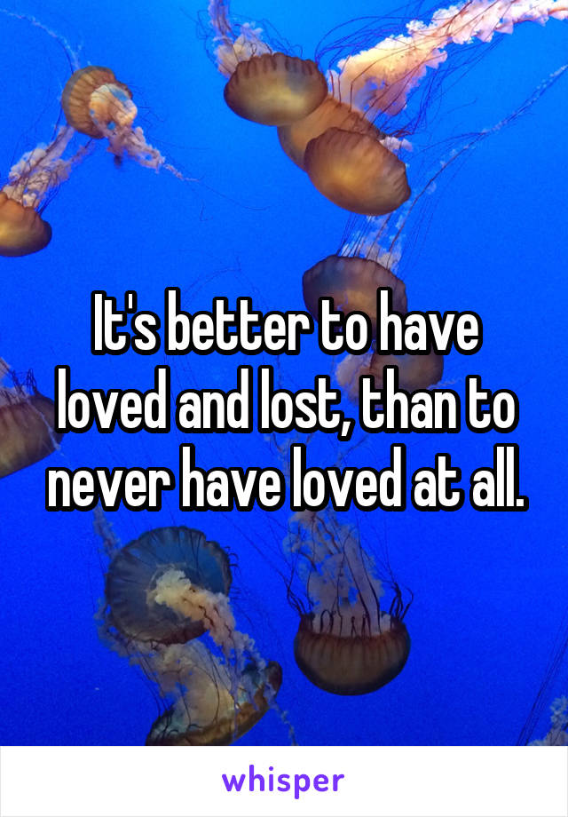 It's better to have loved and lost, than to never have loved at all.