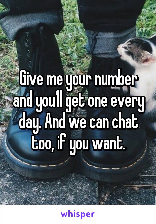 Give me your number and you'll get one every day. And we can chat too, if you want.