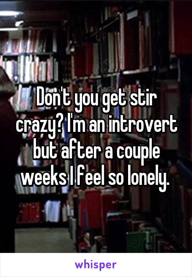 Don't you get stir crazy? I'm an introvert but after a couple weeks I feel so lonely. 