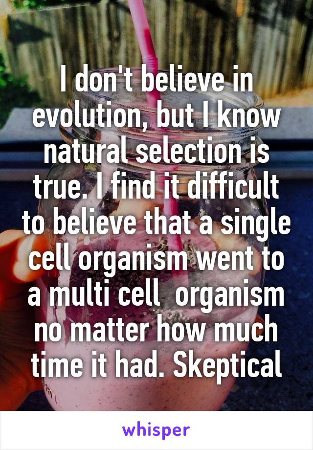 I don't believe in evolution, but I know natural selection is true. I find it difficult to believe that a single cell organism went to a multi cell  organism no matter how much time it had. Skeptical